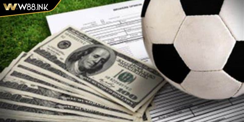 Chiến lược đến từ chuyên gia 